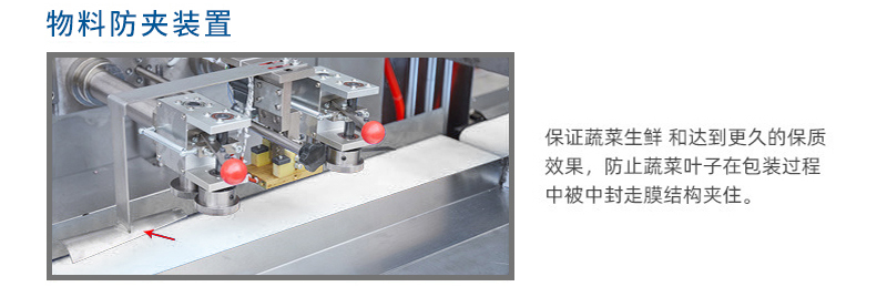 蔬菜打包图4.jpg